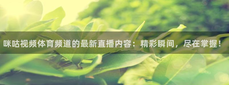 蓝鲸直播体育app