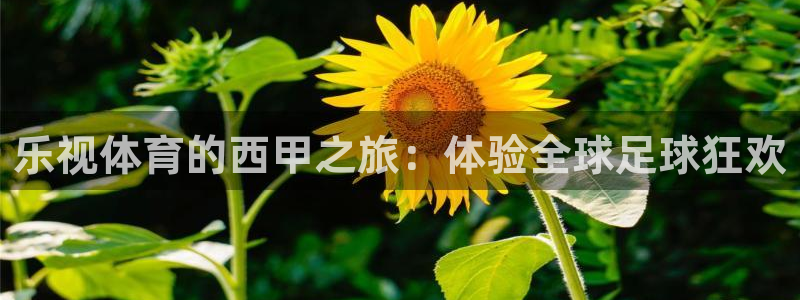蓝鲸直播平台下载