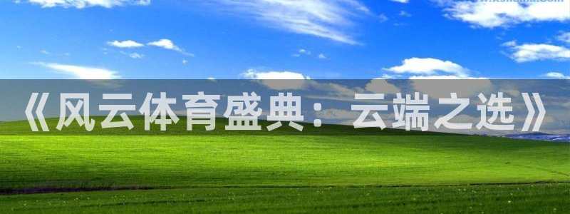 蓝鲸直播网