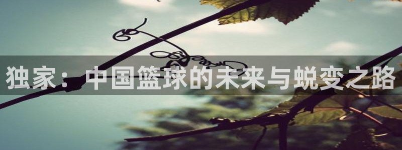 蓝鲸直播平台免费观看