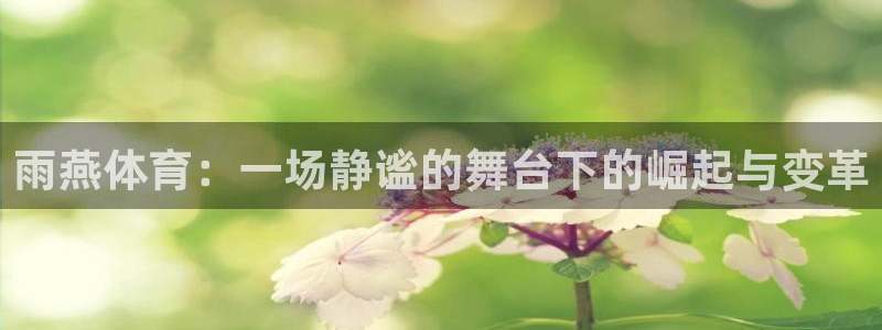 蓝鲸直播英超
