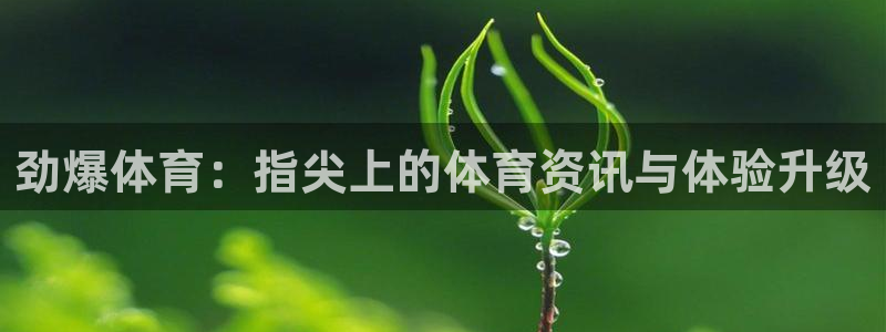 蓝鲸直播体育直播在线观看
