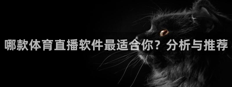 蓝鲸直播男同